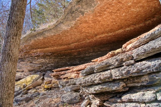 Mundell Road, Eureka Springs, AR 72631