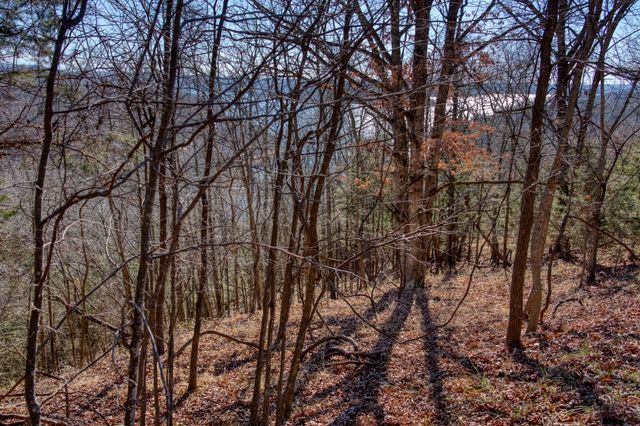 Mundell Road, Eureka Springs, AR 72631