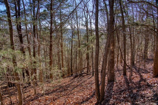 Mundell Road, Eureka Springs, AR 72631