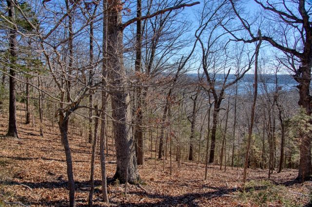 Mundell Road, Eureka Springs, AR 72631