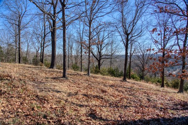 Mundell Road, Eureka Springs, AR 72631