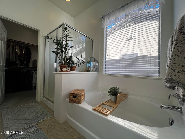 18141 W TASHA Drive, Surprise, AZ 85388