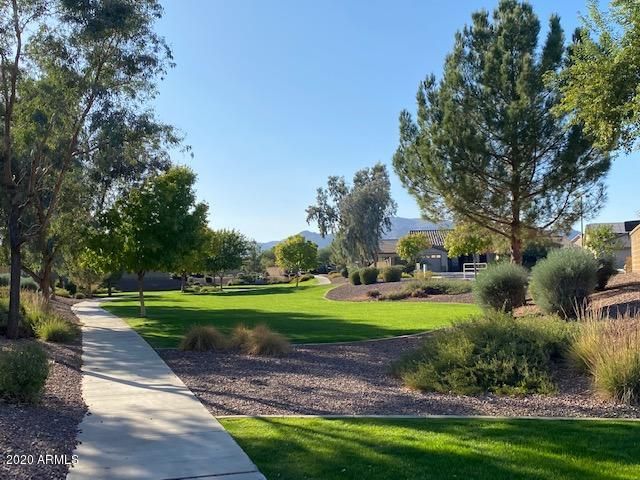 18141 W TASHA Drive, Surprise, AZ 85388