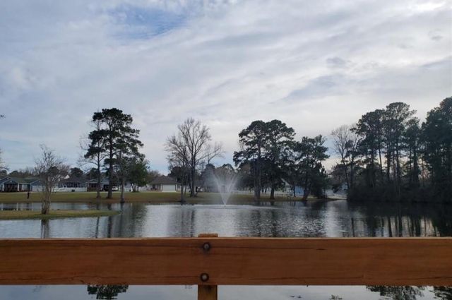 573 Bluebonnet, Livingston, TX 77351