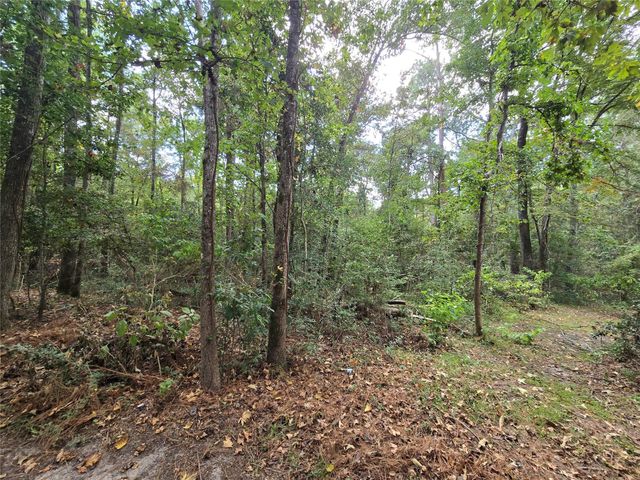 573 Bluebonnet, Livingston, TX 77351