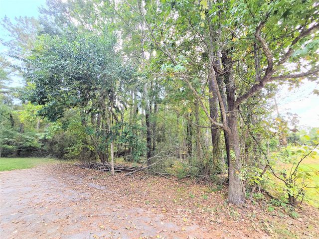 573 Bluebonnet, Livingston, TX 77351