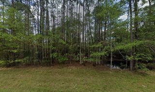 242 Lakeway Drive, Georgetown, FL 32139