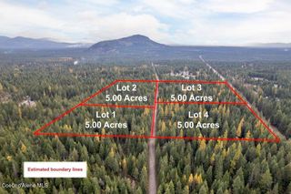 LOT 3 Peak Road, Spirit Lake, ID 83869