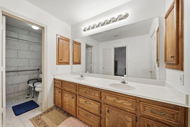 37728 Little Thorn Lane, Magnolia, TX 77354