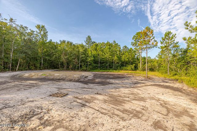 423 Emanuel Church Road, Brunswick, GA 31523