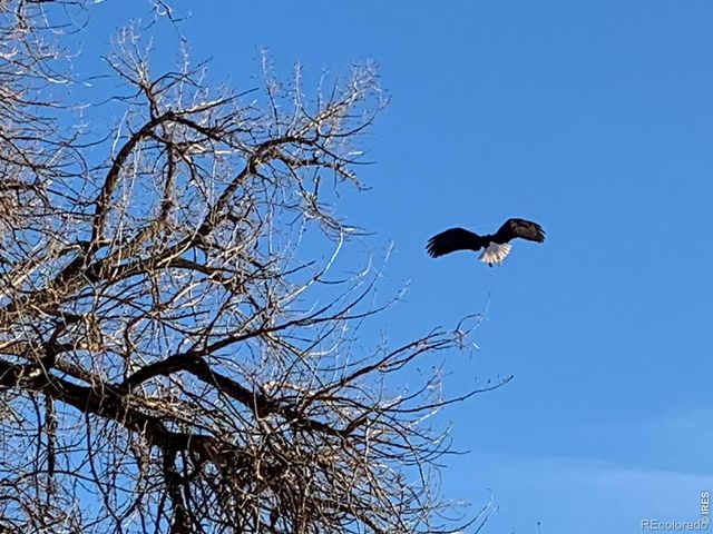 1605 Sunnyside Drive, Loveland, CO 80538