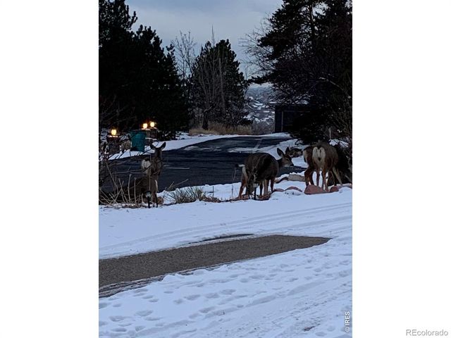 1605 Sunnyside Drive, Loveland, CO 80538