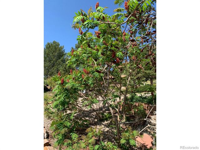 1605 Sunnyside Drive, Loveland, CO 80538