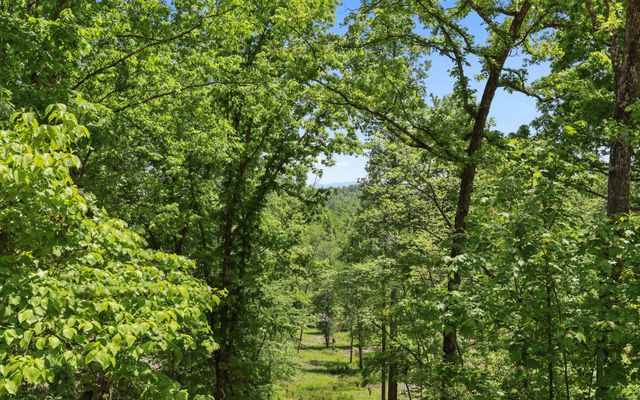 Lt27,28B Haven Way, Blue Ridge, GA 30513
