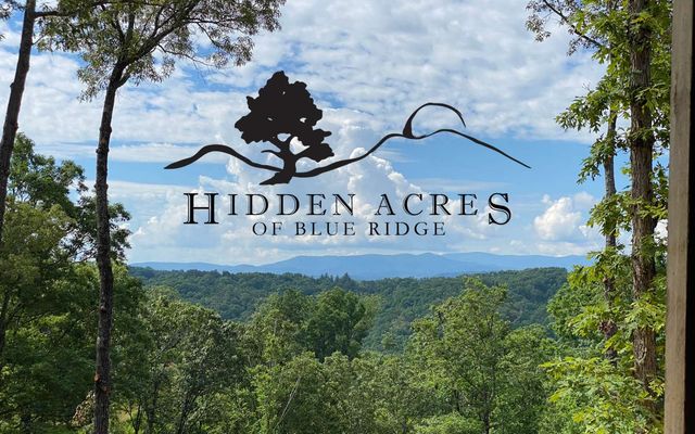 Lt27,28B Haven Way, Blue Ridge, GA 30513