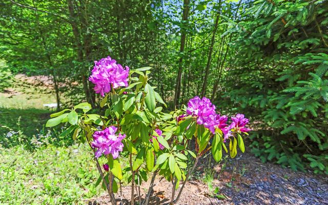 Lt27,28B Haven Way, Blue Ridge, GA 30513