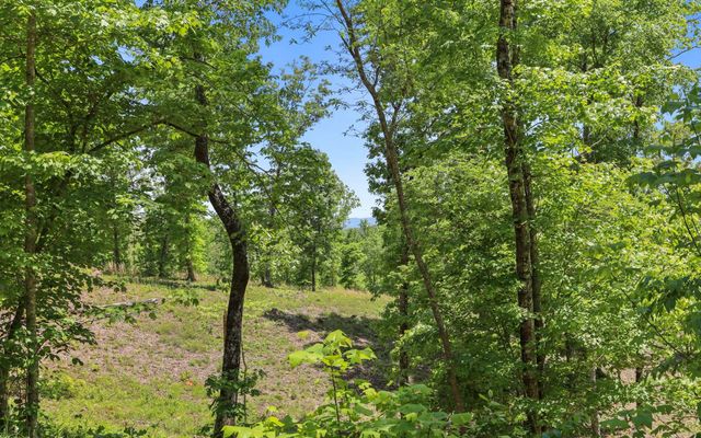Lt27,28B Haven Way, Blue Ridge, GA 30513