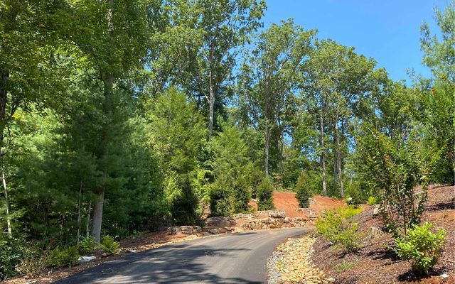 Lt27,28B Haven Way, Blue Ridge, GA 30513