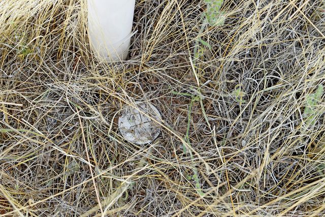 Lot 39 Sunset Vista Road, San Antonio, NM 87832