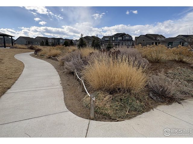 3498 Grayling Dr, Loveland, CO 80538