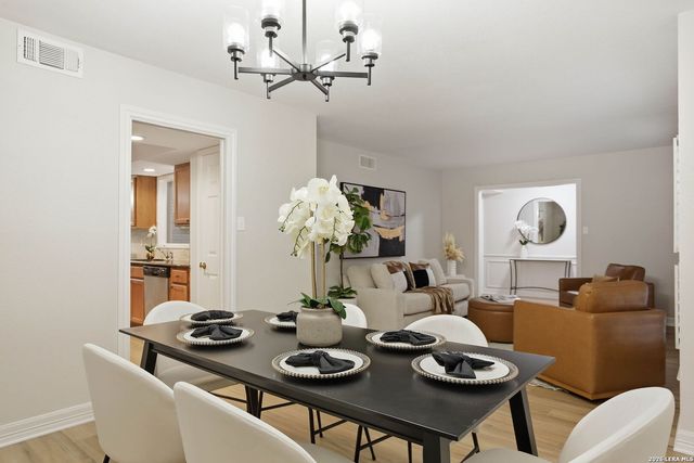 3038 Whisper Fern, San Antonio, TX 78230