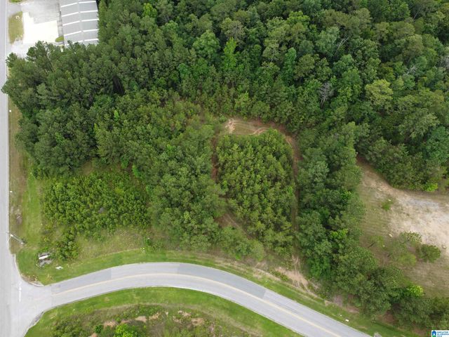 360 APPLEGATE PARKWAY, Pelham, AL 35124