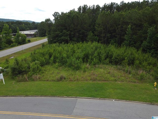360 APPLEGATE PARKWAY, Pelham, AL 35124
