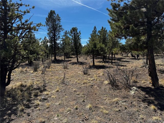 30583 Timberline Dr, Buena Vista, CO 81211