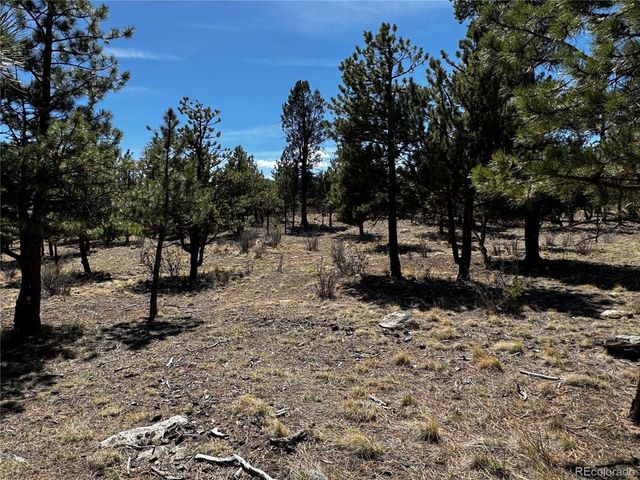 30583 Timberline Dr, Buena Vista, CO 81211