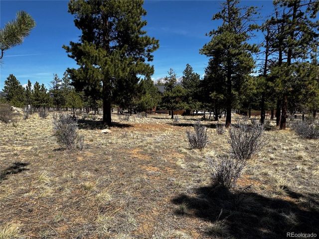30583 Timberline Dr, Buena Vista, CO 81211