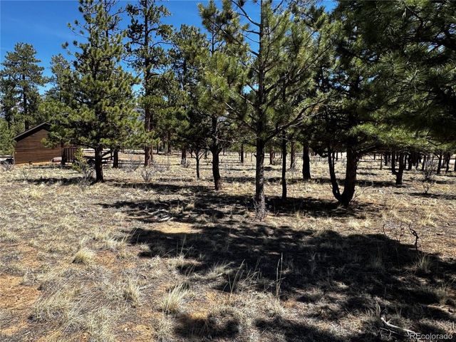 30583 Timberline Dr, Buena Vista, CO 81211