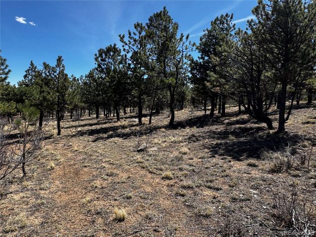30583 Timberline Dr, Buena Vista, CO 81211