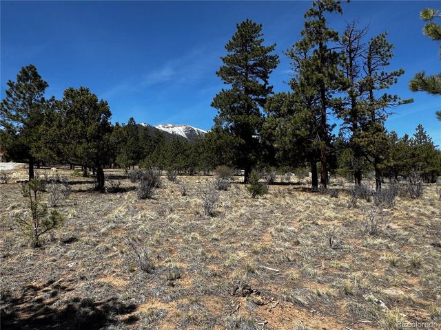 30583 Timberline Dr, Buena Vista, CO 81211