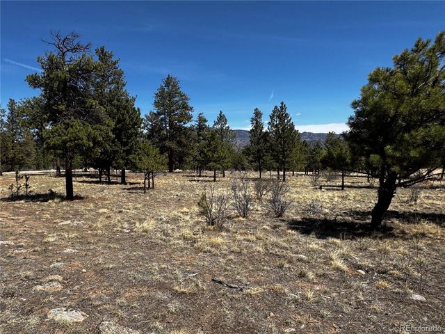 30583 Timberline Dr, Buena Vista, CO 81211