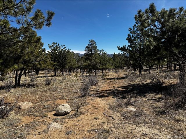 30583 Timberline Dr, Buena Vista, CO 81211