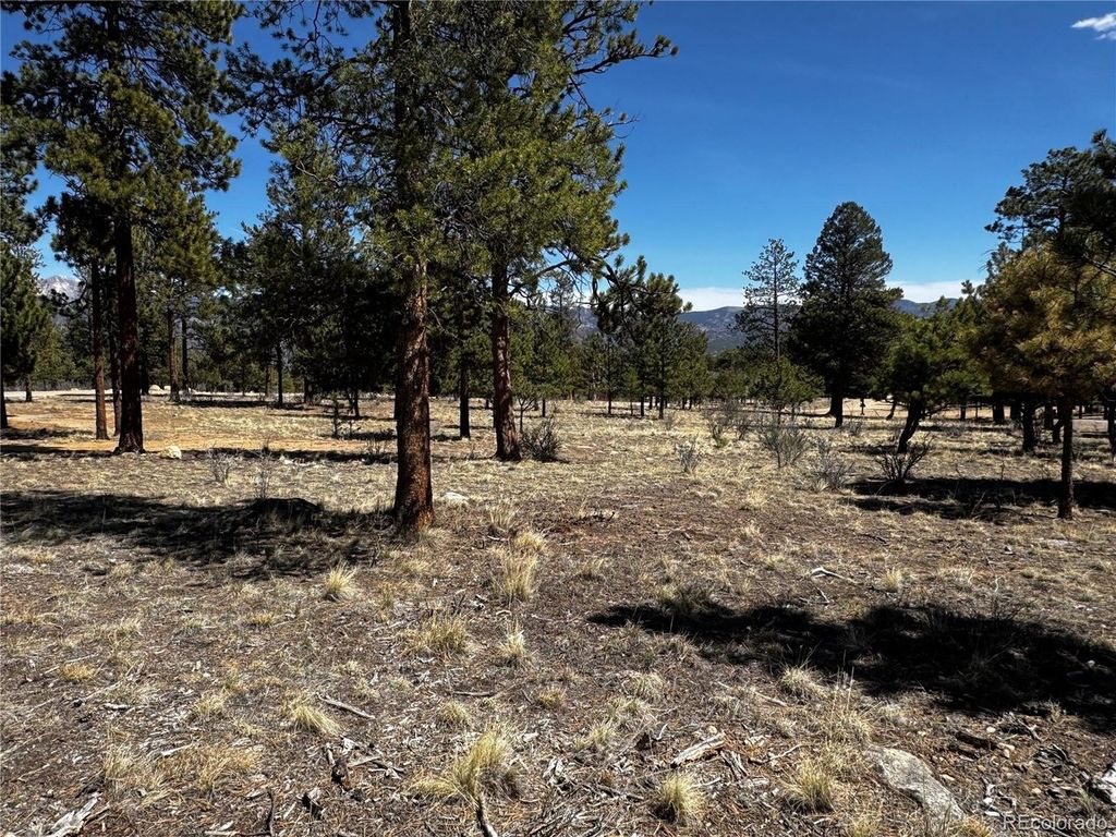 30583 Timberline Dr, Buena Vista, CO 81211