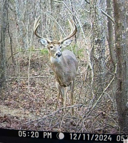 16475 Dawson Road Tract A, Dawson Springs, KY 42408