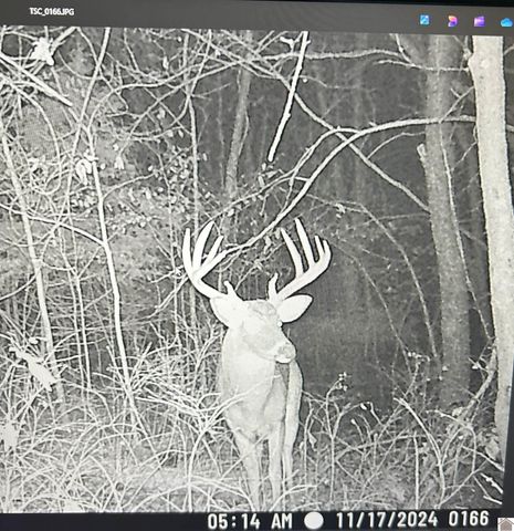 16475 Dawson Road Tract A, Dawson Springs, KY 42408