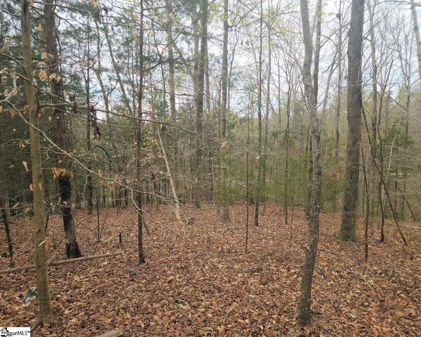 Boyds Mill Pond Road, Laurens, SC 29360
