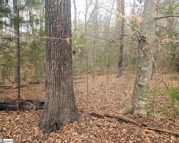 Boyds Mill Pond Road, Laurens, SC 29360