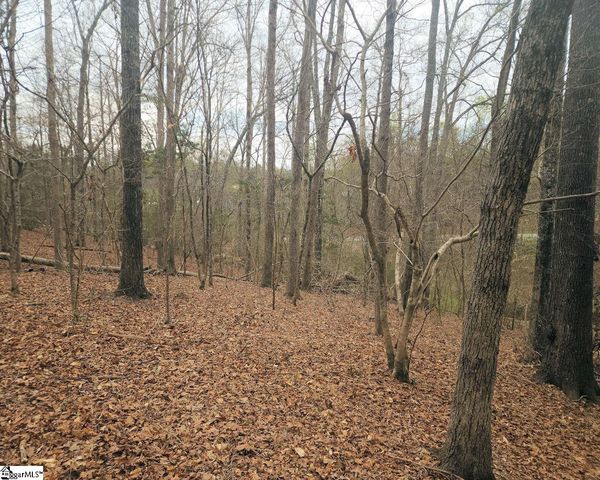Boyds Mill Pond Road, Laurens, SC 29360