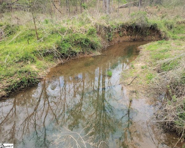Boyds Mill Pond Road, Laurens, SC 29360