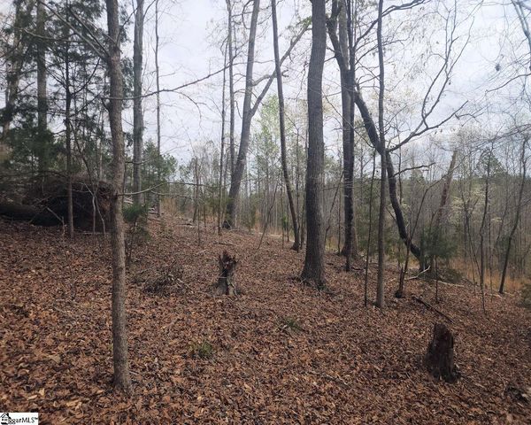 Boyds Mill Pond Road, Laurens, SC 29360