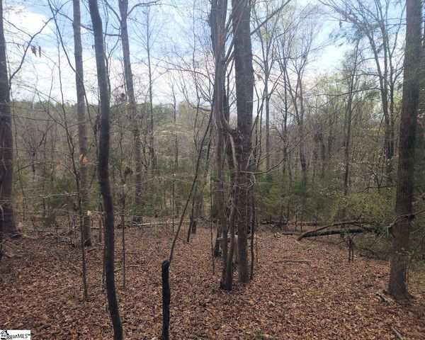Boyds Mill Pond Road, Laurens, SC 29360
