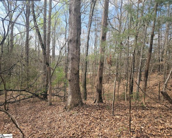 Boyds Mill Pond Road, Laurens, SC 29360