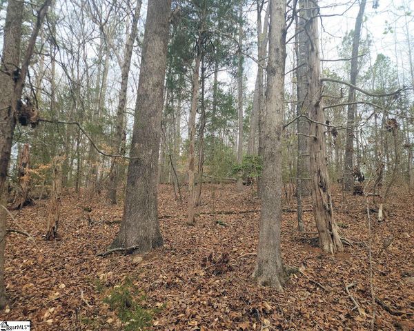 Boyds Mill Pond Road, Laurens, SC 29360