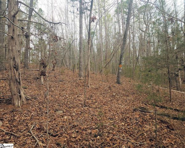 Boyds Mill Pond Road, Laurens, SC 29360