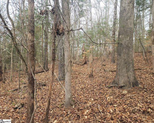 Boyds Mill Pond Road, Laurens, SC 29360