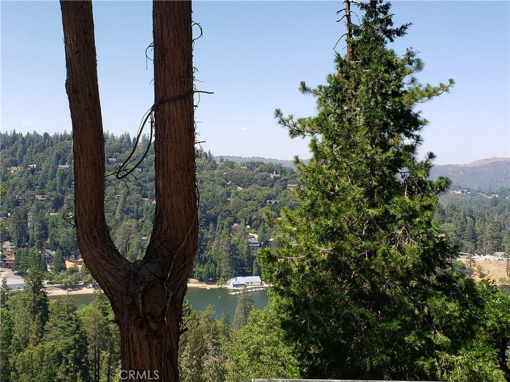 Image 19 of property listing at 24240 Bernard Drive, Crestline, CA 92325