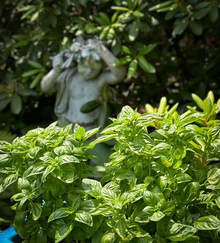 41 Pleasant Street, Woodstock, VT 05091